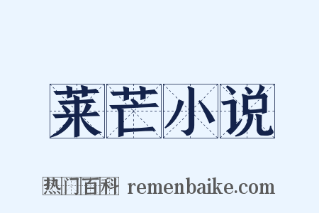莱芒小说是什么意思的图片
